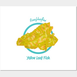 Yellow Leaf Fish Posters and Art